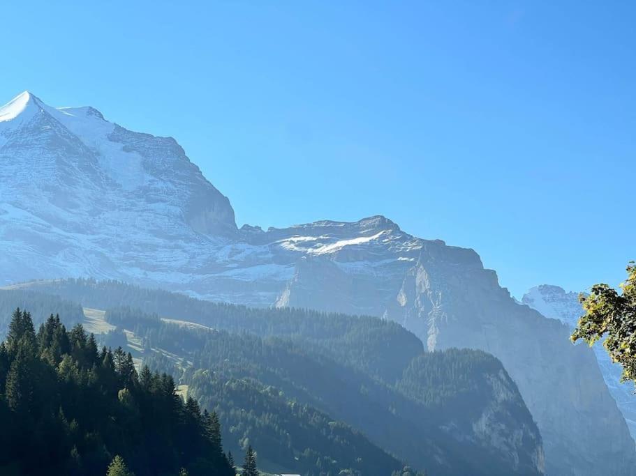 Wengen Apartment - Amazing Views, Centrally Located By Train Station Exterior photo