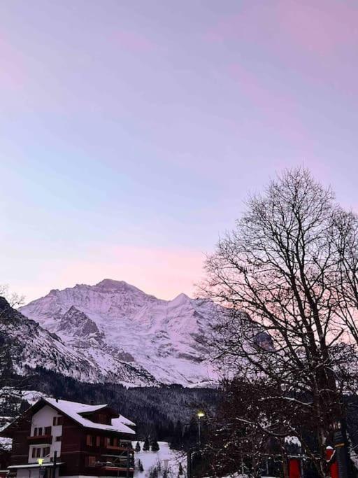 Wengen Apartment - Amazing Views, Centrally Located By Train Station Exterior photo