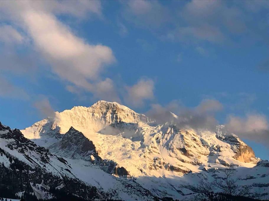 Wengen Apartment - Amazing Views, Centrally Located By Train Station Exterior photo